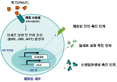 주식회사 렉스바이오 이미지