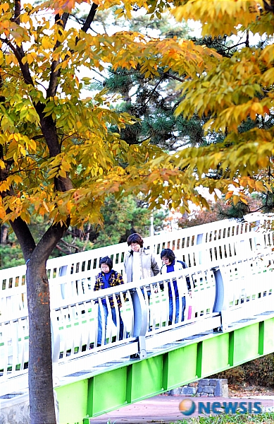 옷잎 이미지