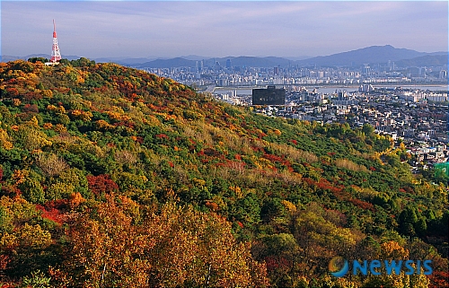 남산 이미지