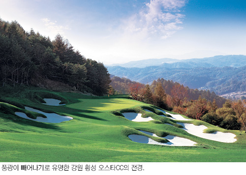 차령한우 이미지
