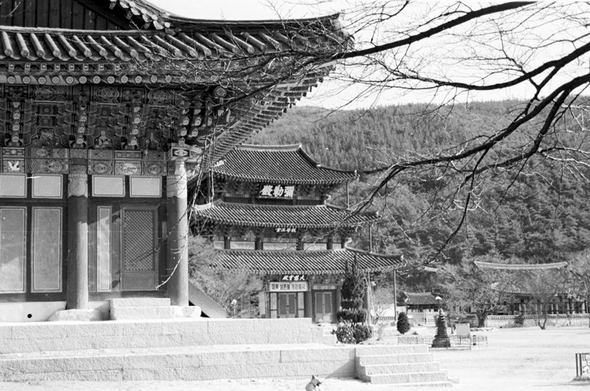 통일문구 이미지