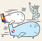 (주)비자항공 이미지