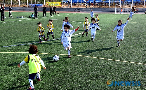 화성유소년축구클럽 이미지