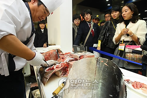 통참치 이미지