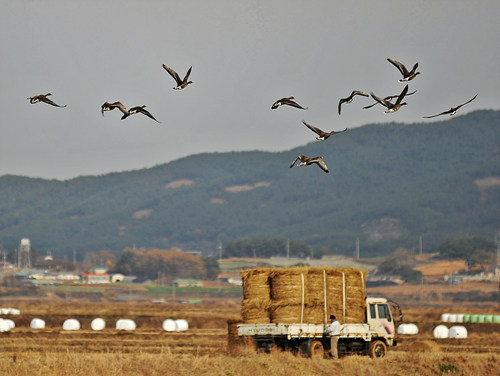 지상낙원 이미지