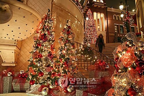 로데오스포츠 이미지