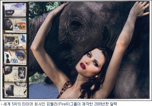 시선유혹 이미지