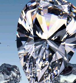 파리의상실 이미지