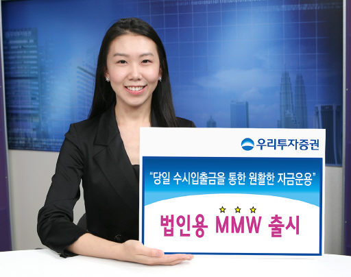 MMW 이미지
