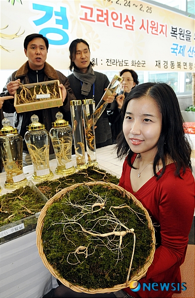 한국명품산삼 이미지