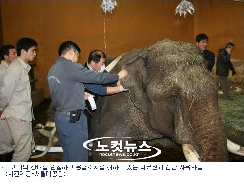 아시아물산 이미지
