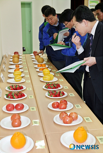 동일청과 이미지