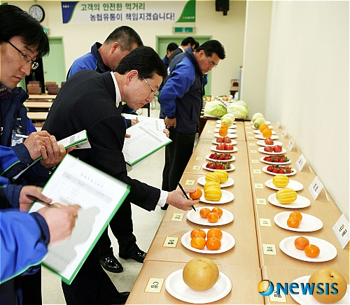 동일청과 이미지