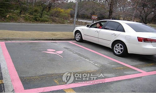 핑크라인 이미지