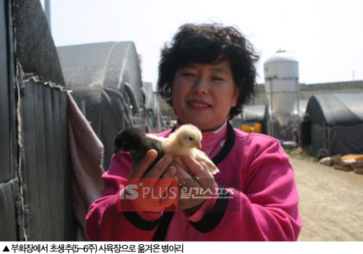 엘림환경 이미지