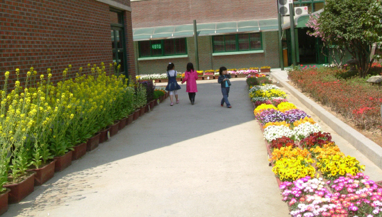 마재초등학교 이미지