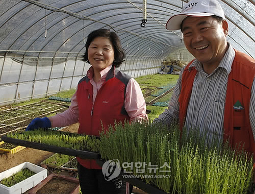 씨웰빙하우스 이미지