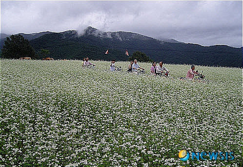 평창축산물 이미지