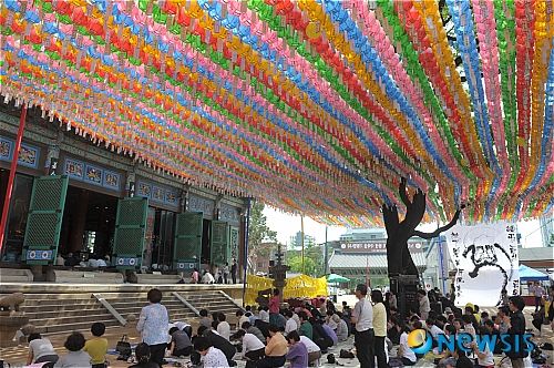 한국초재 이미지