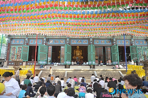 한국초재 이미지