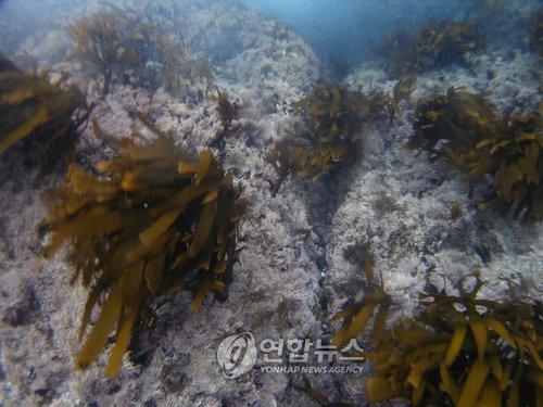 나라비행선 이미지