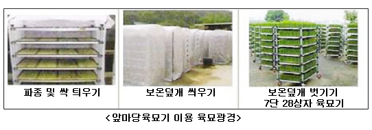앞마당 이미지