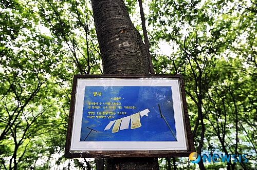아담노래광장 이미지