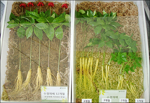 수경유통 이미지