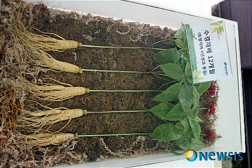 서천소비자유통 이미지