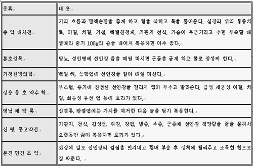 장수선인장 이미지