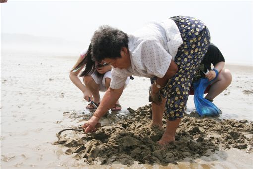 (주)허브라 이미지