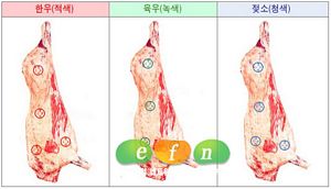 신선도 이미지