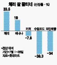 불티나라 이미지