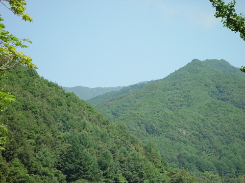 주막거리 이미지