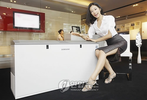 삼성시스템안 이미지