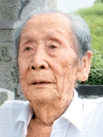 시로씨 이미지