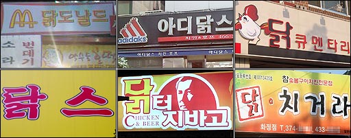 닭터 이미지