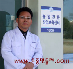 토종흰민들레식품 이미지