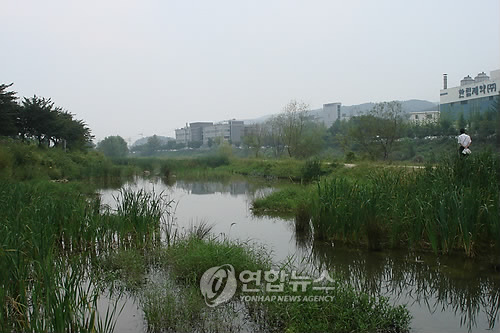 강변살자 이미지