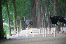 주식회사 청평건설 이미지