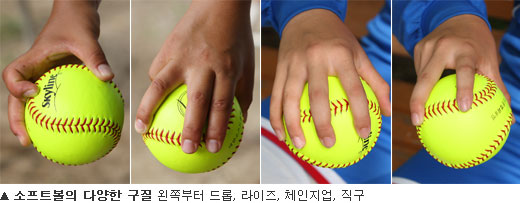 국민생활체육전국소프트볼연합회 이미지