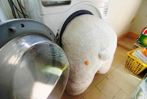 세탁갤러리 이미지