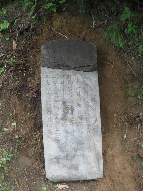 박상궁 이미지