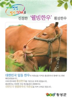 한우 이미지