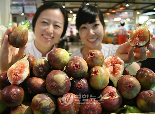 폰메가마트 이미지
