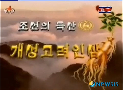 고려인삼 이미지