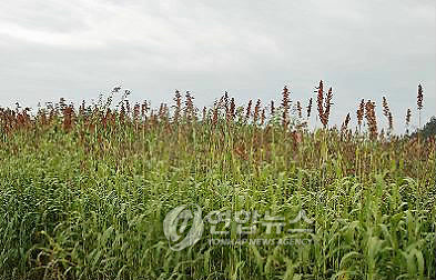 에너지원 이미지