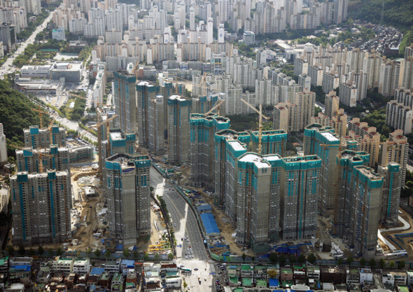 꿩먹고알먹고 이미지
