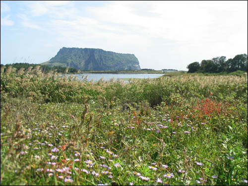 일출봉 이미지