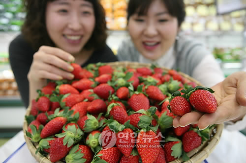 사천농협연합하나로마트 이미지